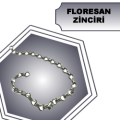 FLORESAN ZİNCİRİ