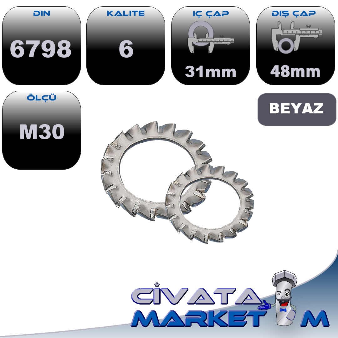 DIN 6798 TIRTIRLI PUL M30 SİYAH