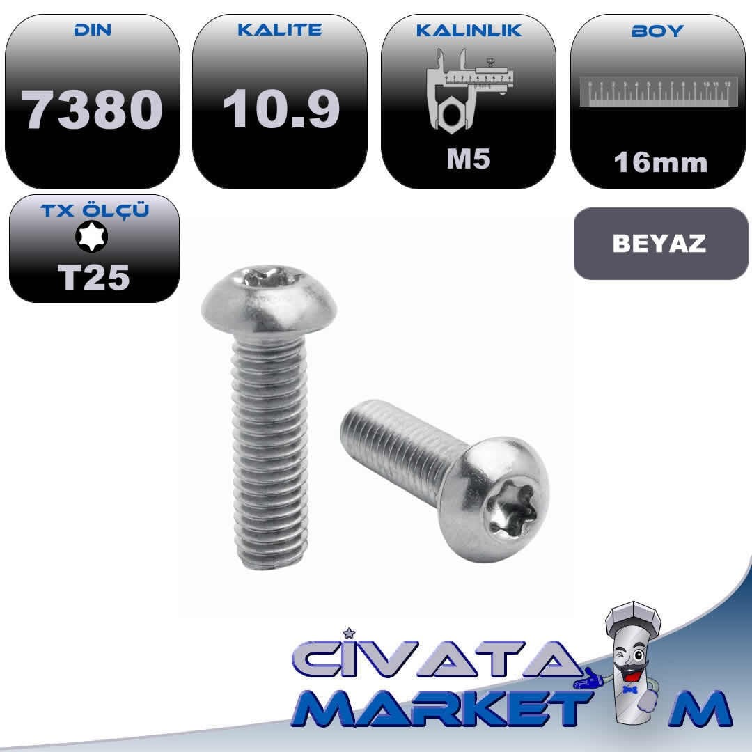 M5x16 ISO 7380 TX TORX BOMBE BAŞ İMBUS 10.9 Galv.