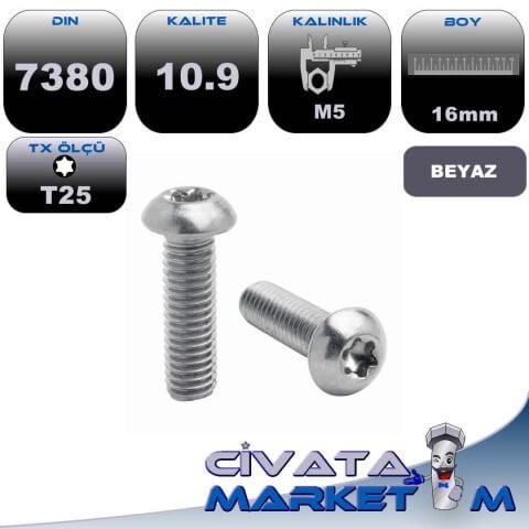 M5x16 ISO 7380 TX TORX BOMBE BAŞ İMBUS 10.9 Galv.