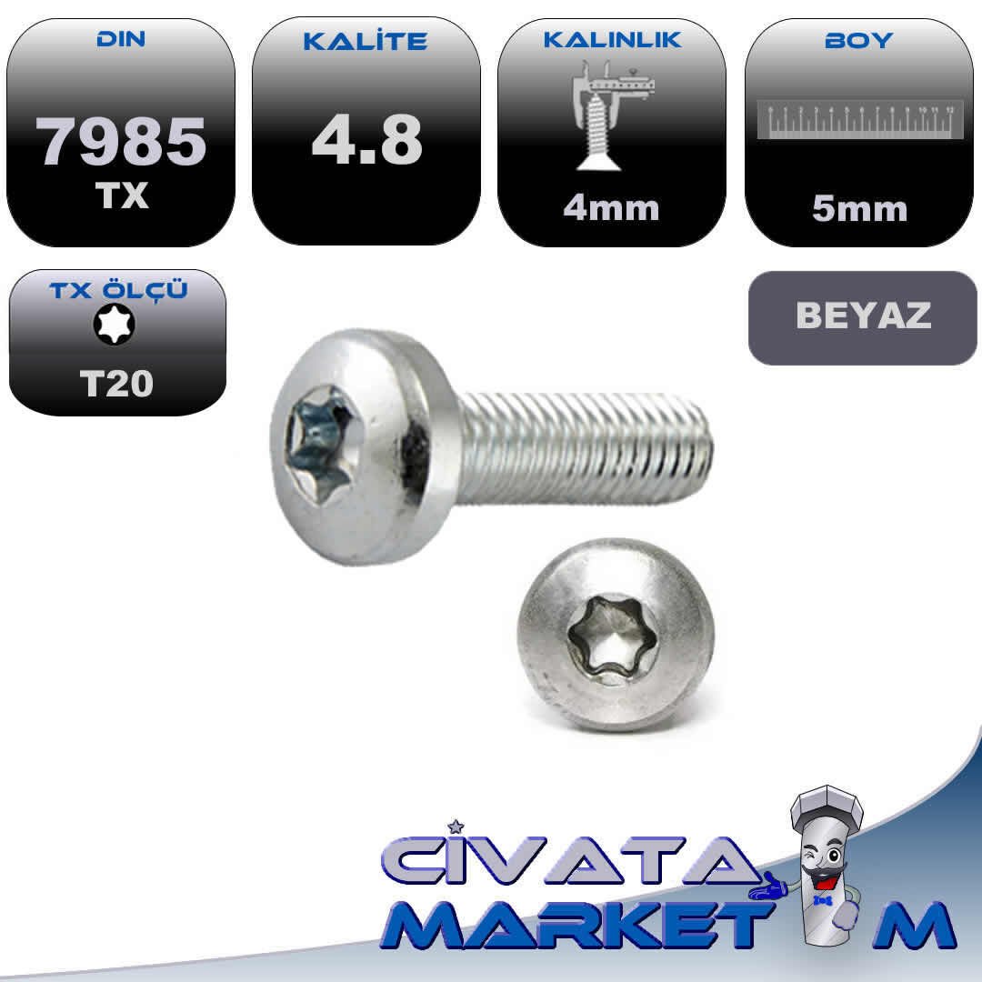 M4x5 DIN7985 TX TORX METRİK VİDA 4.8 Galv