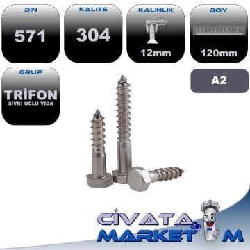 12*120 TRİFON VİDA A2 304