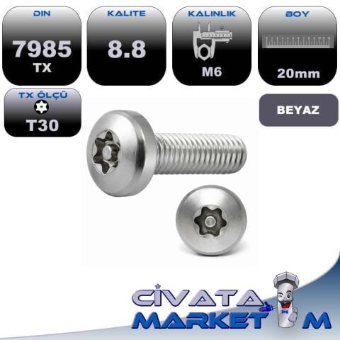 M6x20 DIN7985 TX Emliyet Pimli TORX METRİK VİDA 8.8 Galv