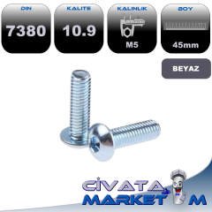 M5*45 BOMBE BAŞ İMBUS BEYAZ 10,9