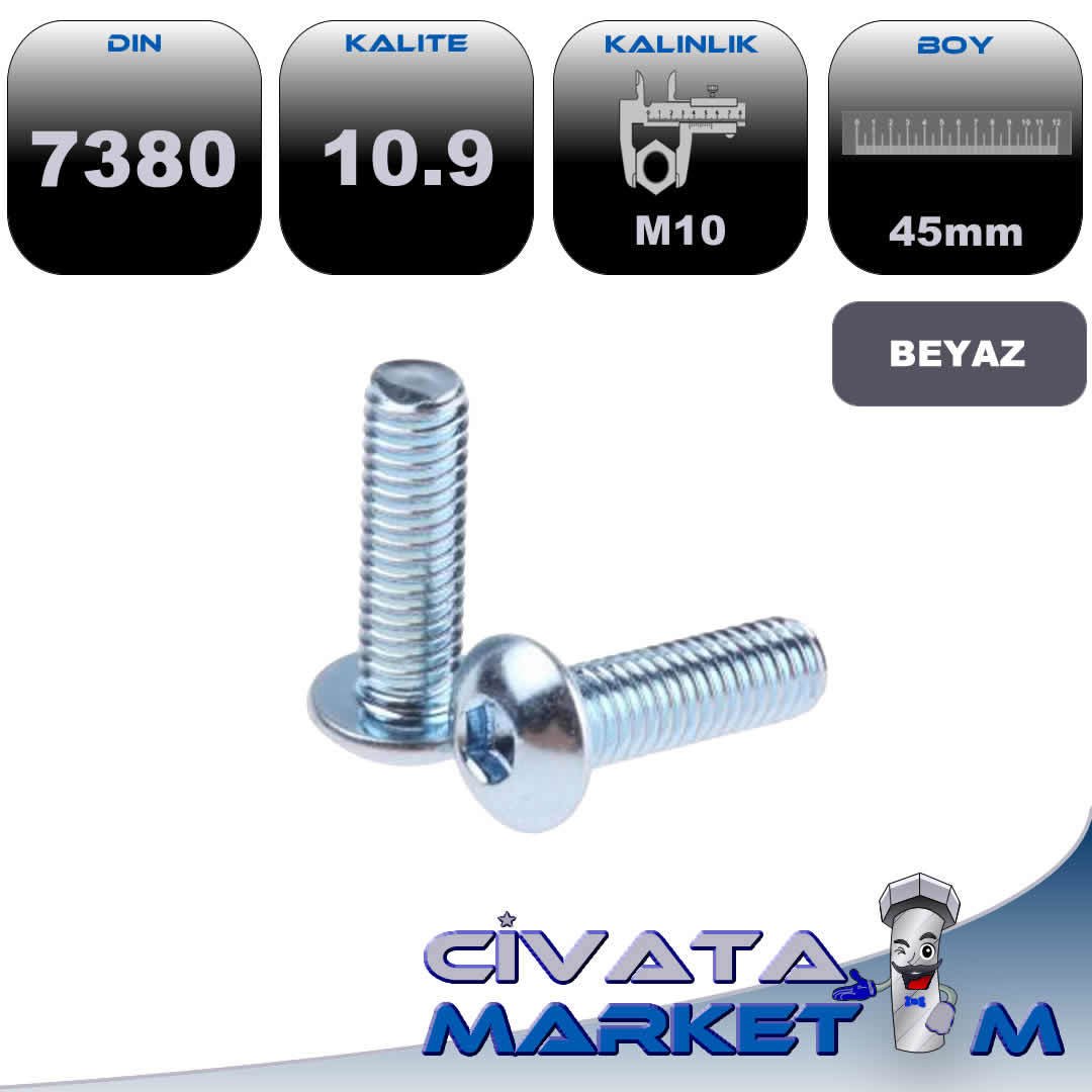 M10*45 BOMBE BAŞ İMBUS BEYAZ 10,9