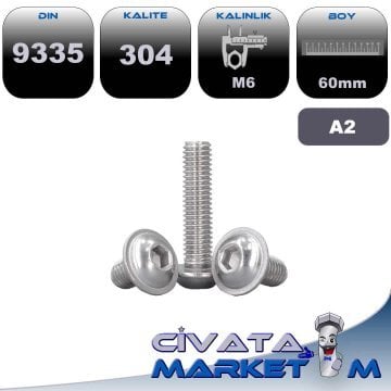 M6*60 BOMBE BAŞ FLANŞLI İMBUS A2