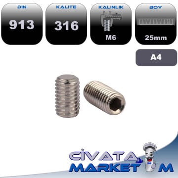 M6x25 SETSKUR DIN 913 A4 316