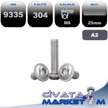 M8*25 BOMBE BAŞ FLANŞLI İMBUS A2