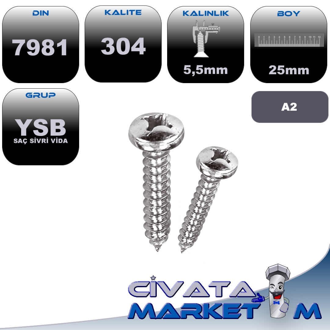5,5X25 YSB SAC VİDASI A2 304