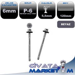 5,5x120 PANEL VİDASI BYZ P6