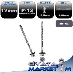 5,5x195 PANEL VİDASI BYZ P12