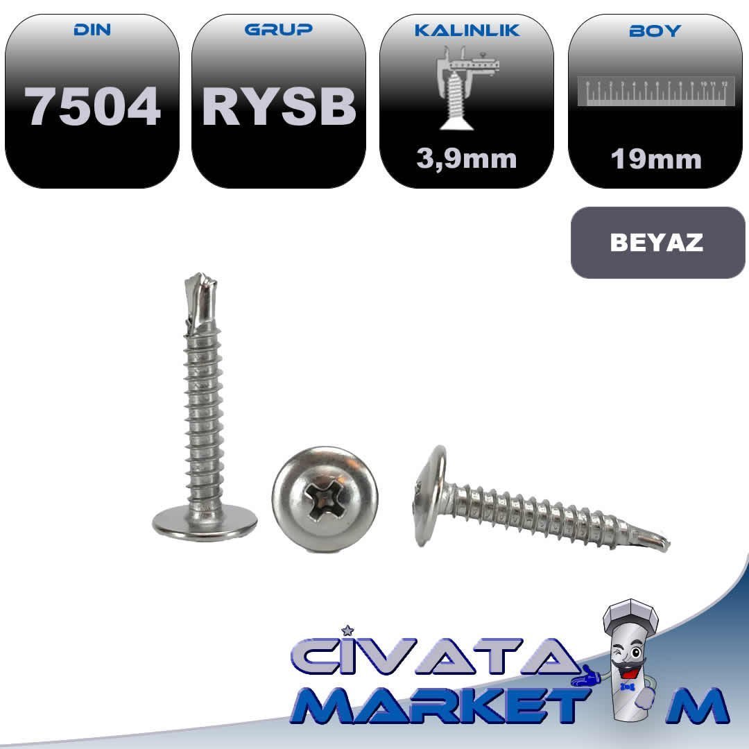 3,9x19 RYSB MATKAP UCLU VİDA DIN7504 BYZ